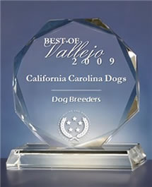 Best Of Breeders 2009