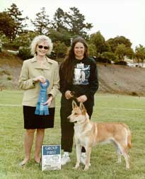 California Carolina Dog Award